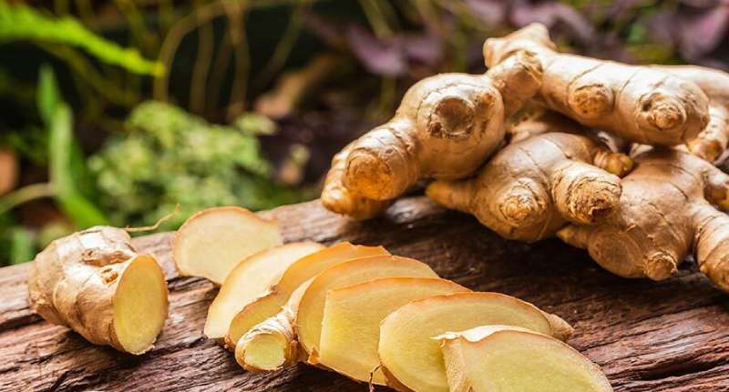 శొంఠి పానీయాన్ని సేవిస్తే చాలు… ఈ ఆరోగ్య ప్రయోజనాలన్నీ మీ సొంతమైనట్లే?