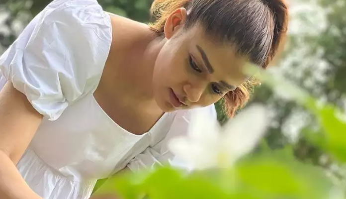 సినిమాలు, విమానాలు.. నయనతార టైమ్ నడుస్తోంది