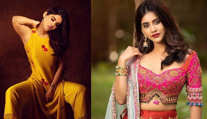 Nabha Natesh Latest Stills