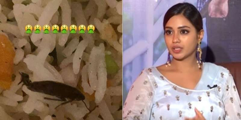 cockroach: అన్ లైన్ ఫుడ్ ఆర్డర్లో బొద్దింక..! హీరోయిన్ ఆగ్రహం