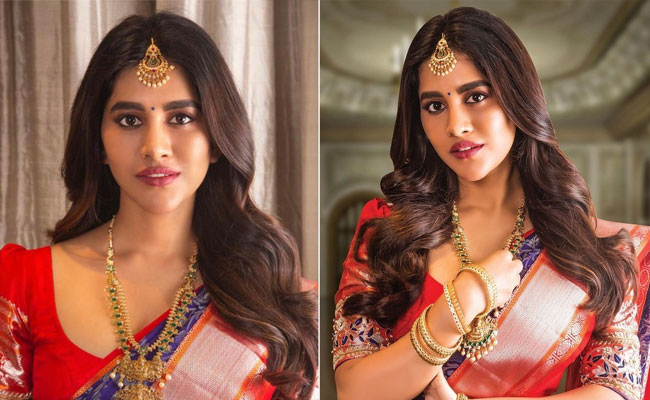 Actress Nabha Natesh Latest Pics