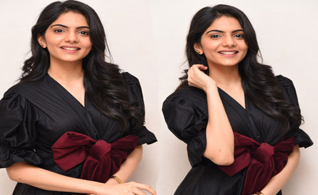 Actress Misha Narang New Photoshoot