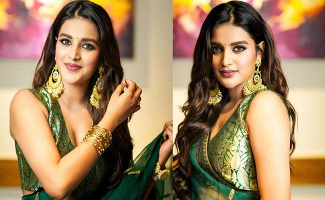 Actress Nidhhi Agerwal Insta Pics