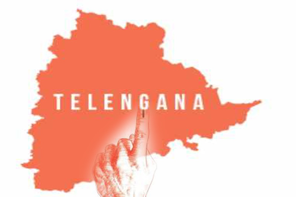 తెలంగాణలో అన్ని నియోజకవర్గాలకీ ఉప ఎన్నికలా.? ఇదేం కోరిక.?