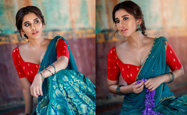 Nabha Natesh Mesmerises Looks In a Half Saree