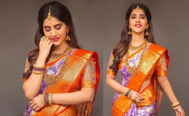 Nabha Natesh HD Pics