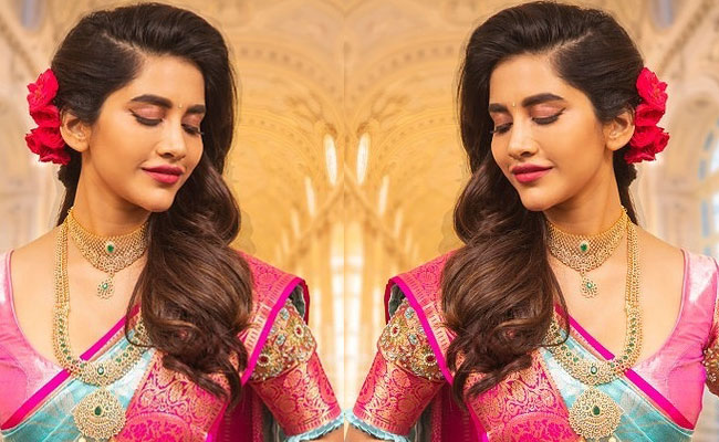 Actress Nabha Natesh Awesome Looks In Silk Saree
