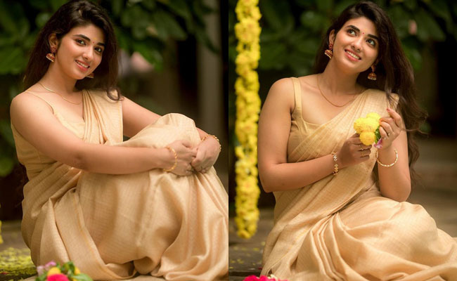 Pragya Nagra Beautiful Pics In a Saree