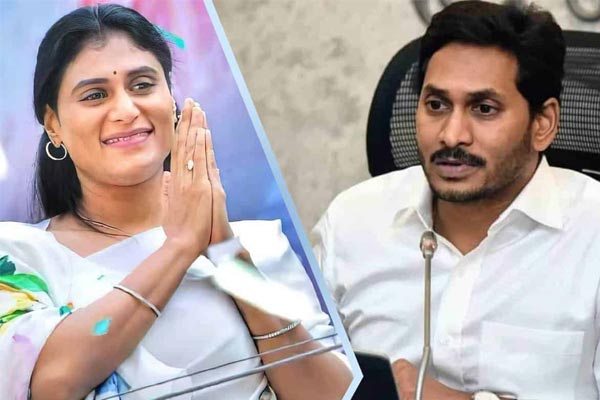 షర్మిల ట్వీట్లు.. కేసీయార్‌కి కాదు, వైఎస్ జగన్‌కి పోట్లు.!