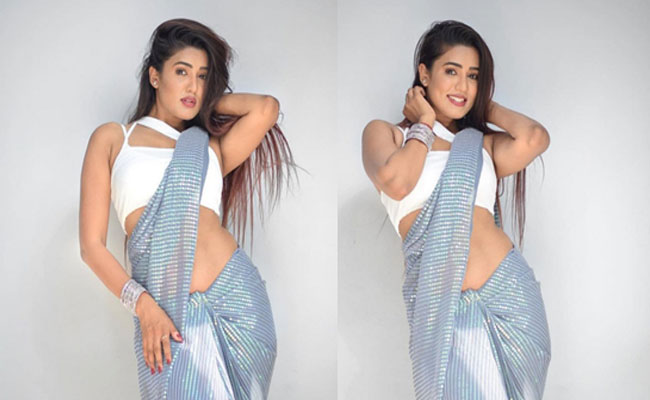 Garima Chaurasia Shiny Looks In a Saree