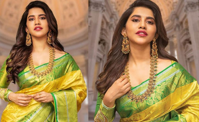 Nabha Natesh Mesmerizingi in Silks Saree