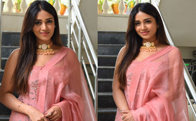 Nivetha Pethuraj Pagal Movie Interview Stills