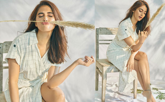 Actress Pooja Hegde Mesmerizing With Her Photoshoot