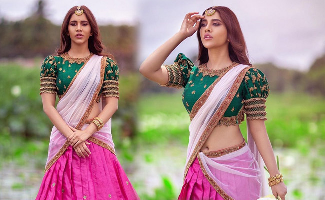 Nabha Natesh Latest Pics in Half Saree