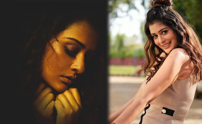 Payal Rajput HD Stills