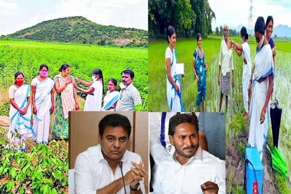 టీఆర్ఎస్, వైఎస్సార్సీపీ మధ్య ఫొటోల గోల.!