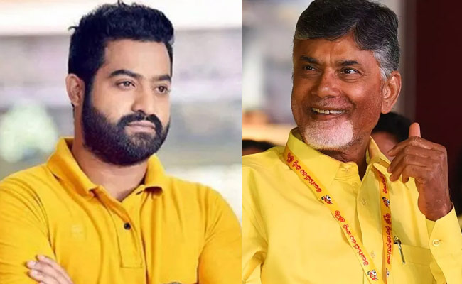 చంద్రబాబుకు ఎన్టీఆర్ సలహా ఇచ్చాడట: నమ్మేద్దామా.?