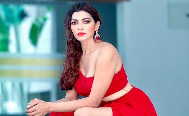 లేడీ బిగ్‌బాస్ భలే ఛాన్సు కొట్టేసిందిగా.!