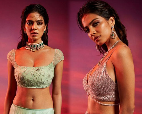 Malavika Mohanan Hot Photoshoot