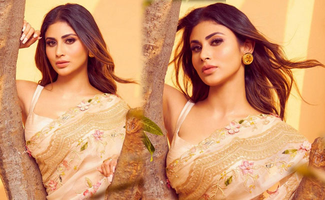 Mouni Roy Looks Stunning in Saree