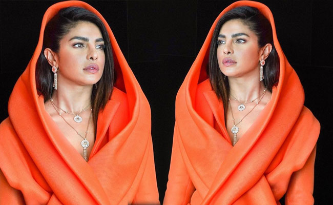 Priyanka Chopra New Gallery