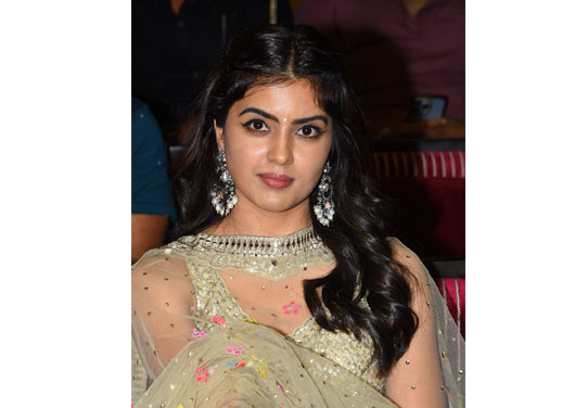 Amritha Aiyer-అమ్రితా ఐయేర్ ఎట్  అర్జున ఫాల్గుణ మూవీ ప్రీ రిలీజ్ ఈవెంట్