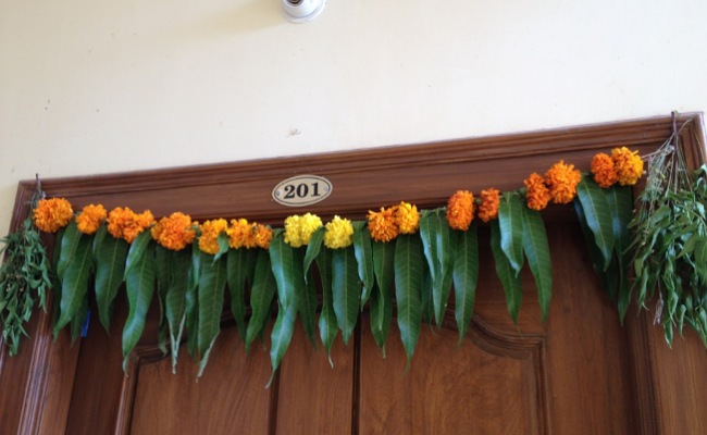 Mango Leaves: శుభకార్యాలలో తోరణాలుగా మామిడి ఆకులను ఎందుకు ఉపయోగిస్తారో తెలుసా?