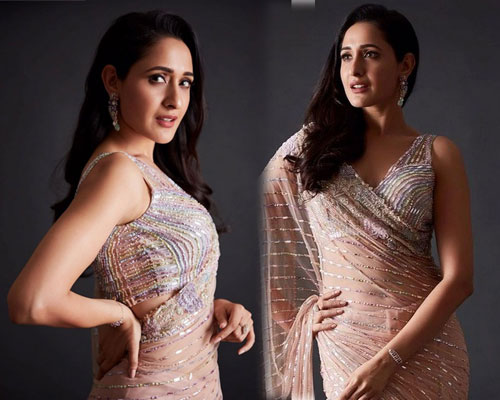Pragya Jaiswal-ప్రగ్యా జైస్వాల్ లూకింగ్ బ్యూటిఫుల్ ఇన్  షైనీ సారీ