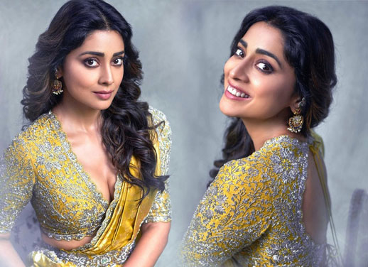 Shriya Saran-శ్రియ శరన్ గ్లామరస్ లుక్స్ ఇన్ సారీ