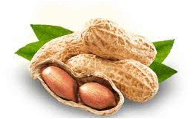 వేరుశెనగలు ఈ సమస్య ఉన్నవారు తింటే అంతే సంగతులు.. అది ఏంటంటే?