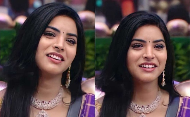 Big Boss 5 Priyanka: అమ్మో…బిగ్ బాస్ షో ద్వారా పింకీ అంత సంపాదించిందా!