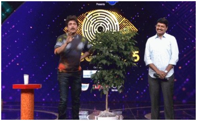 Nagarjuna: వెయ్యి ఎకరాల అడవిని దత్తత తీసుకున్న అక్కినేని నాగార్జున..?