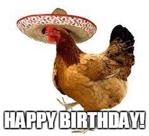 Viral Video: ఇదెక్కడి మాస్ మావా.. ఘనంగా ‘కోడి’ బర్త్ డే