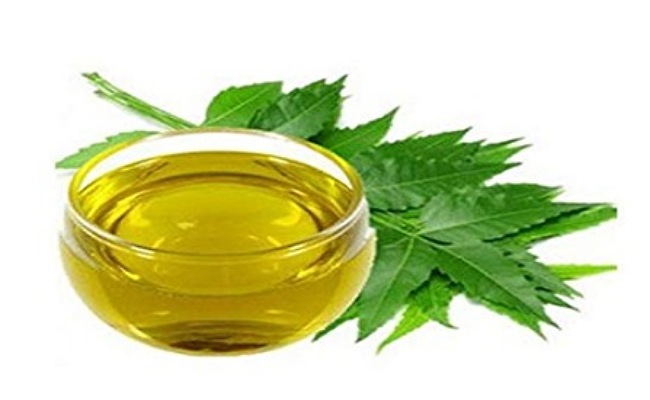 Neem Oil: వేప నూనె అద్భుతమైన ప్రయోజనాలు తెలిస్తే.. ఆశ్చర్యపోవాల్సిందే!