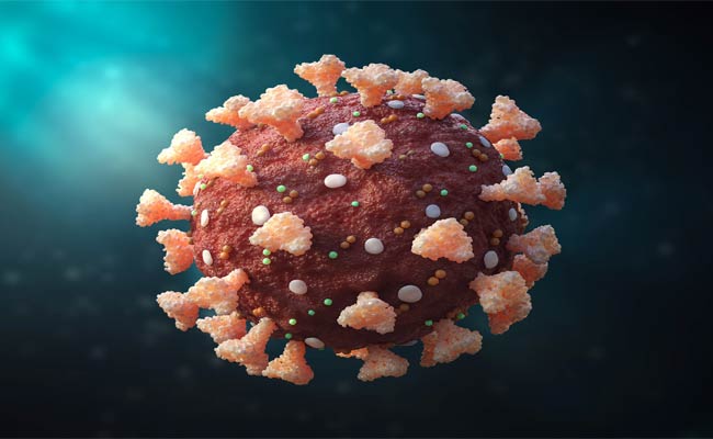 Omicron Pandemic : ఒమిక్రాన్ పాండమిక్: ప్రభుత్వాల బాధ్యతారాహిత్యం.. ప్రజలకు శాపం.!