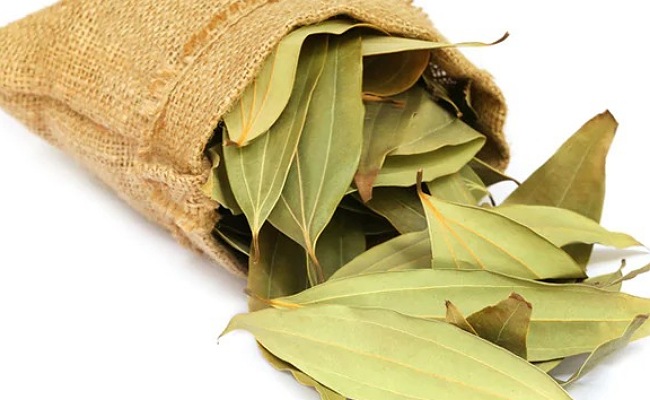 Biriyani Leaf: బిర్యానీ ఆకుల వల్ల కలిగే ఆరోగ్య ప్రయోజనాలు తెలిస్తే ఆశ్చర్యపోతారు..!