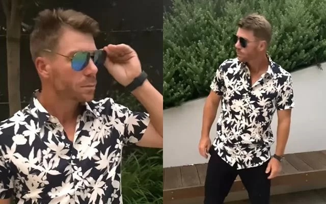 David Warner: డేవిడ్ శ్రీవల్లి పాటకు అదిరిపోయే రిప్లై ఇచ్చిన అల్లు అర్జున్..!