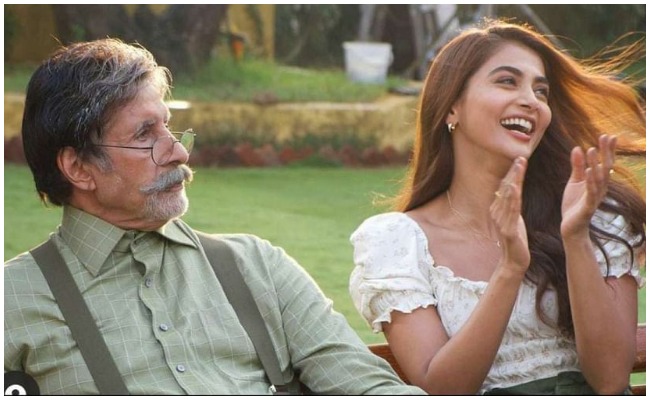 Pooja Hegde: అమితాబ్ బచ్చన్ తో నటించే అవకాశాన్ని దక్కించుకున్న పూజా హెగ్డే.. కానీ వెండితెరపై కాదు?