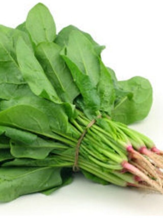 మీలో శారీరక సామర్థ్యం క్షీణిస్తున్నట్లు అనిపిస్తోందా… అయితే ఈ ఆహార పదార్థాలు తీసుకోవాల్సిందే!