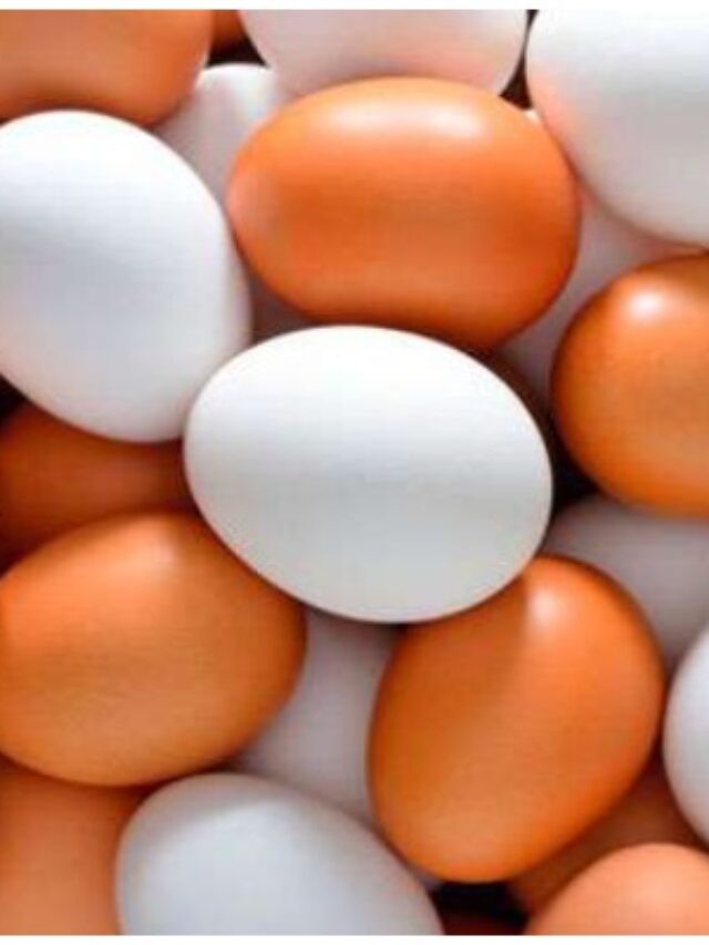 గుడ్డు తినే విషయంలో ఈ జాగ్రత్తలు పాటిస్తేనే..! సంపూర్ణ ఆరోగ్యాన్ని పొందగలరు?