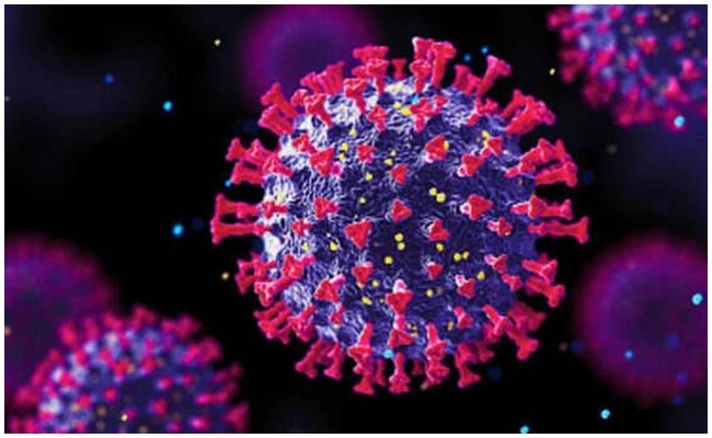 Omicron Variant: ఒమిక్రాన్ డెల్టా వేరియంట్ కన్నా ప్రమాదం.. అని హెచ్చరికలు జారీ చేసిన WHO..!