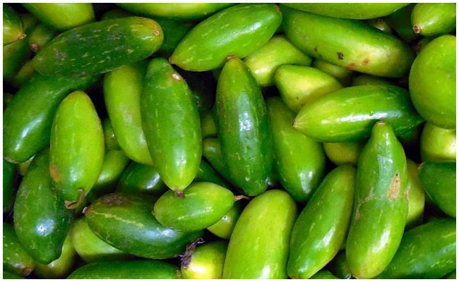 Health Tips: దొండకాయ గురించి ఈ విషయాలు తప్పక తెలుసుకోవాలి….లేదంటే చాలా నష్టపోతారు..!