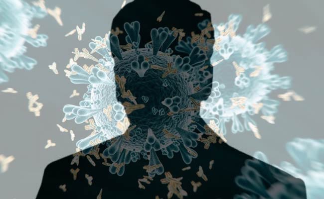 Corona Virus: ఆంధ్రప్రదేశ్ లో కొత్తగా నమోదైన కరోనా కేసులు.. గత 24 గంటల్లో 29 మందికి పాజిటివ్..!