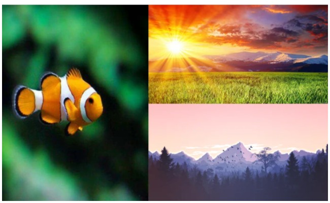 Vastu Tips: మీ ఇంట్లో ఇలాంటి ఫోటోలు ఉంటే అదృష్టం మీ వెంటే..!