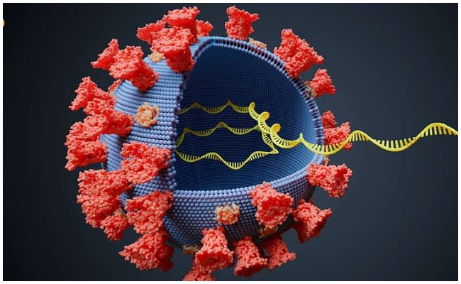 Corona Third Wave: సీనియర్ సిటిజెన్స్ కి ఒమిక్రాన్ శాపంగా మారిందా?
