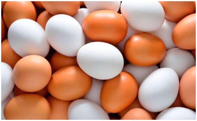Egg Benifits: తెలుపు, గోధుమ రంగు కోడి గుడ్లలో ఏవి ఆరోగ్యానికి మంచివో తెలుసా?