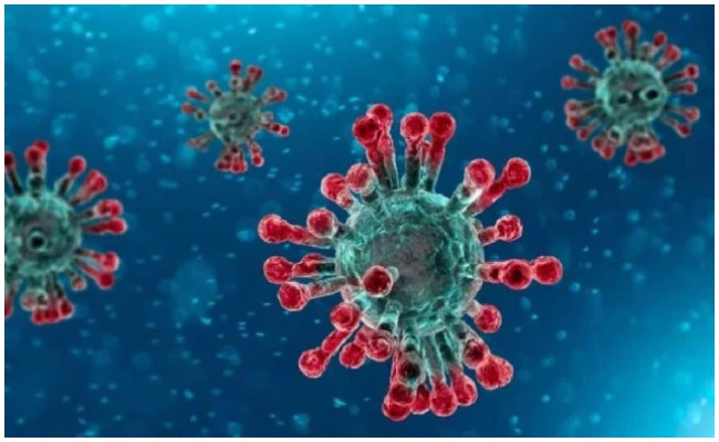 Corona Effect: డయాబెటిక్ పేషెంట్లపై కరోనా ప్రభావం.. అందుకు గల కారణాలు ఏమిటంటే?