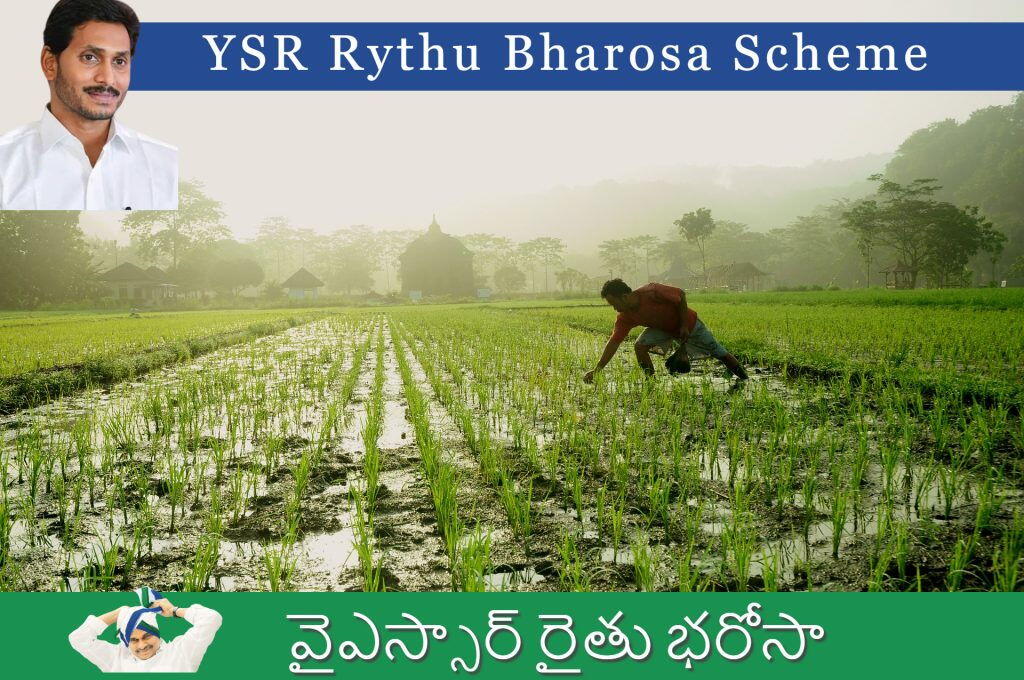 YSR Rythu Bharosa: రైతు భరోసా సొమ్ము మీ ఖాతాలోకి జమ అయ్యిందో లేదో ఇలా చెక్ చేసుకోండి.!