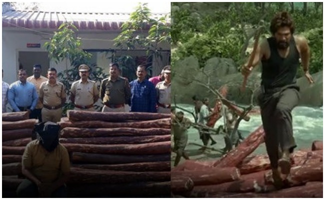 Crime News: సినిమా స్టైల్ లో ఎర్రచందనం స్మగ్లింగ్..పోలీసులకు అనుమానం రావడంతో అడ్డంగా బుక్కయ్యాడు..!