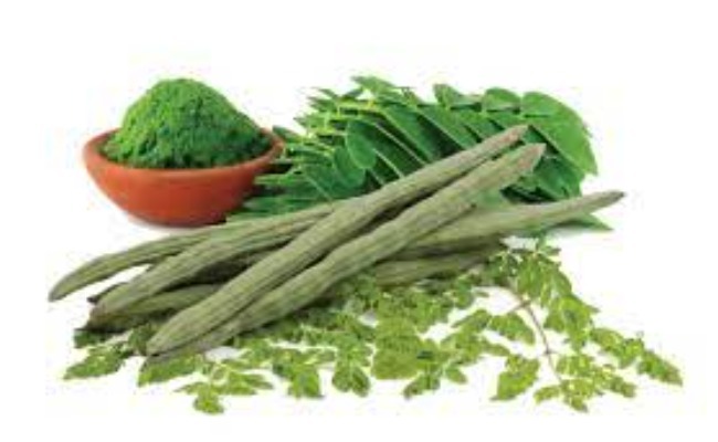 Drumstick Benifits:మునగాకు వల్ల కలిగే ప్రయోజనాల గురించి తెలిస్తే ఆశ్చర్యపోతారు..!